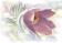 TWU07LIL005 плитка облицовочная Lila 249*364*7,5  - керамическая плитка - Распродажа, скидки до 50% 