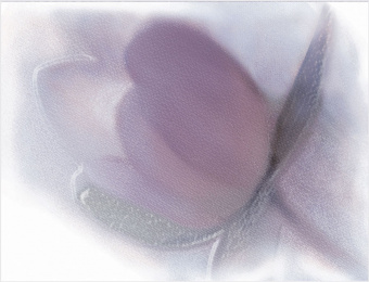 TWU07LIL003 плитка облицовочная Lila 249*364*7,5  - керамическая плитка - Lila 
